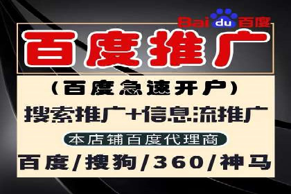 行业领先企业的信息流竞价策略揭秘